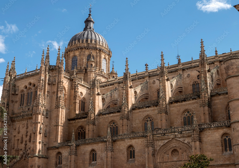 New Cathedral (Catedral Nueva), One Of The Two Cathedrals Of Salamanca, Spain