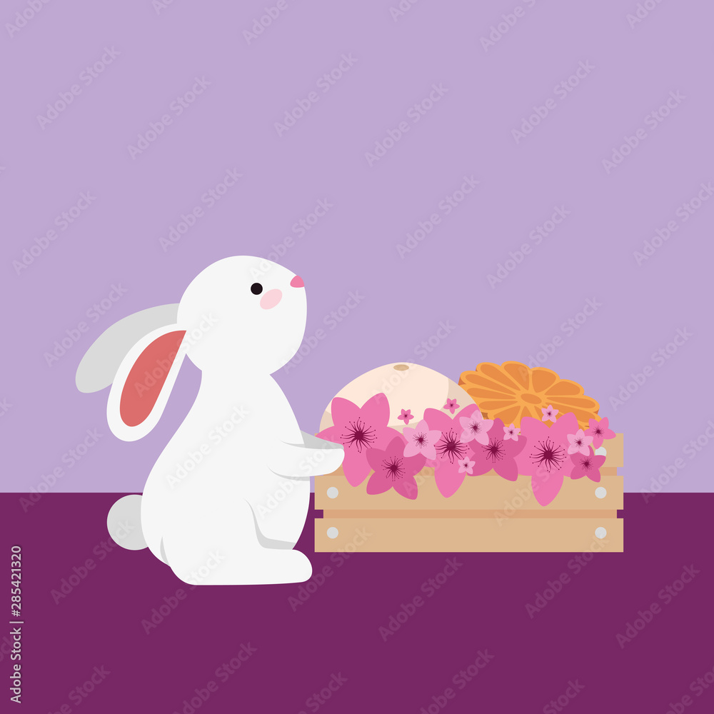 cute and little rabbit with melons in wooden box cute and little rabbit with melons in wooden box
