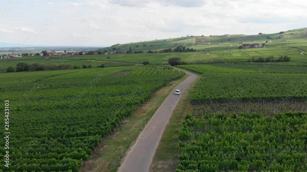 Aerial Tracking Shot of a White Car Driving Through a French Vineyard. Aerial Tracking Shot of a White Car Driving Through a French Vineyard.