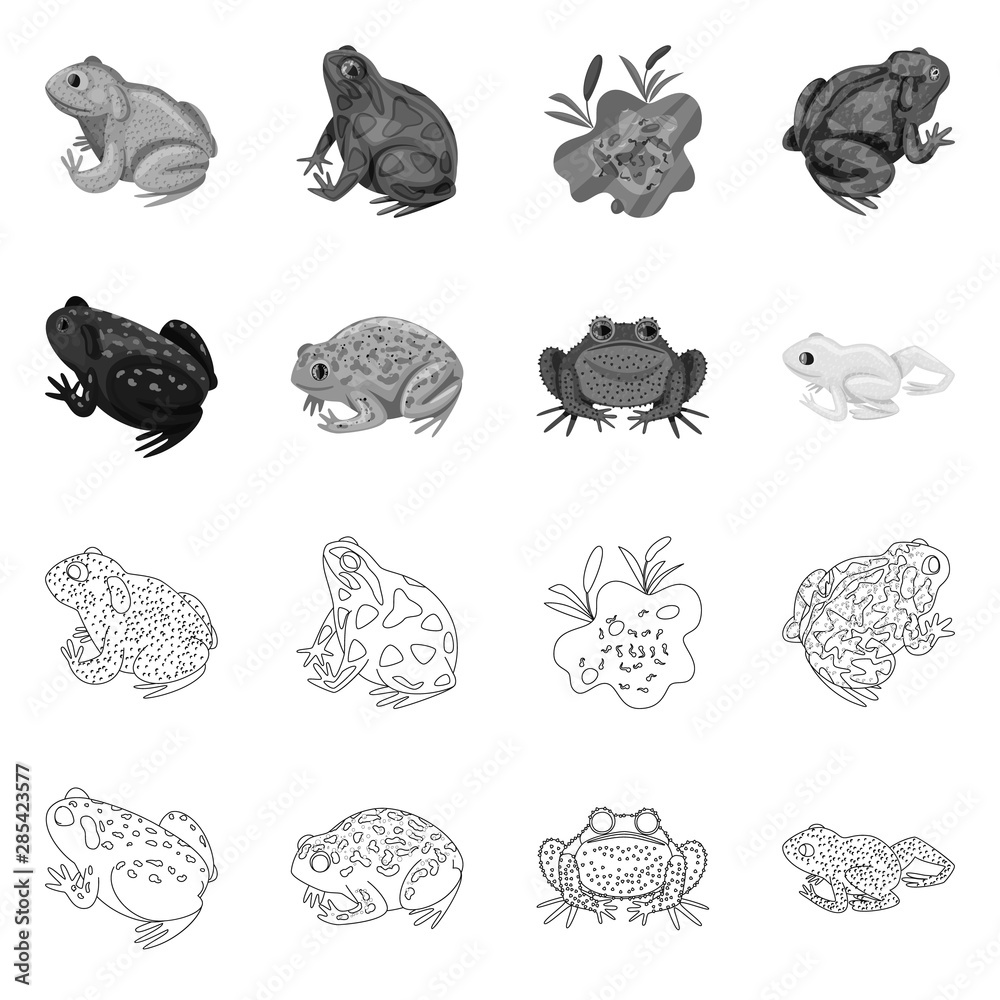 Vector illustration of wildlife and bog symbol. Set of wildlife and reptile stock vector illustration.