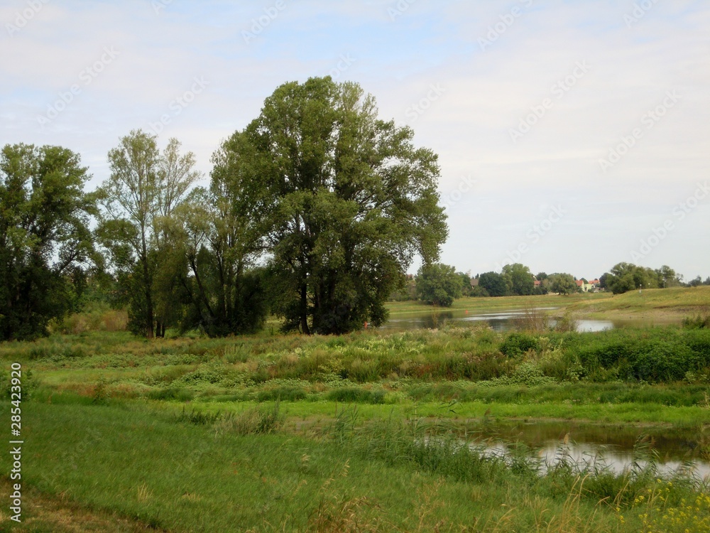 Elberadweg zwischen Riesa und Belgern (Sachsen) Elberadweg zwischen Riesa und Belgern (Sachsen)