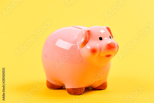 Piggy bank adorable pink pig close up. Accounting personal accountant and family budget. Piggy bank symbol of money savings. Financial education. Finances and investments bank. Better way to bank