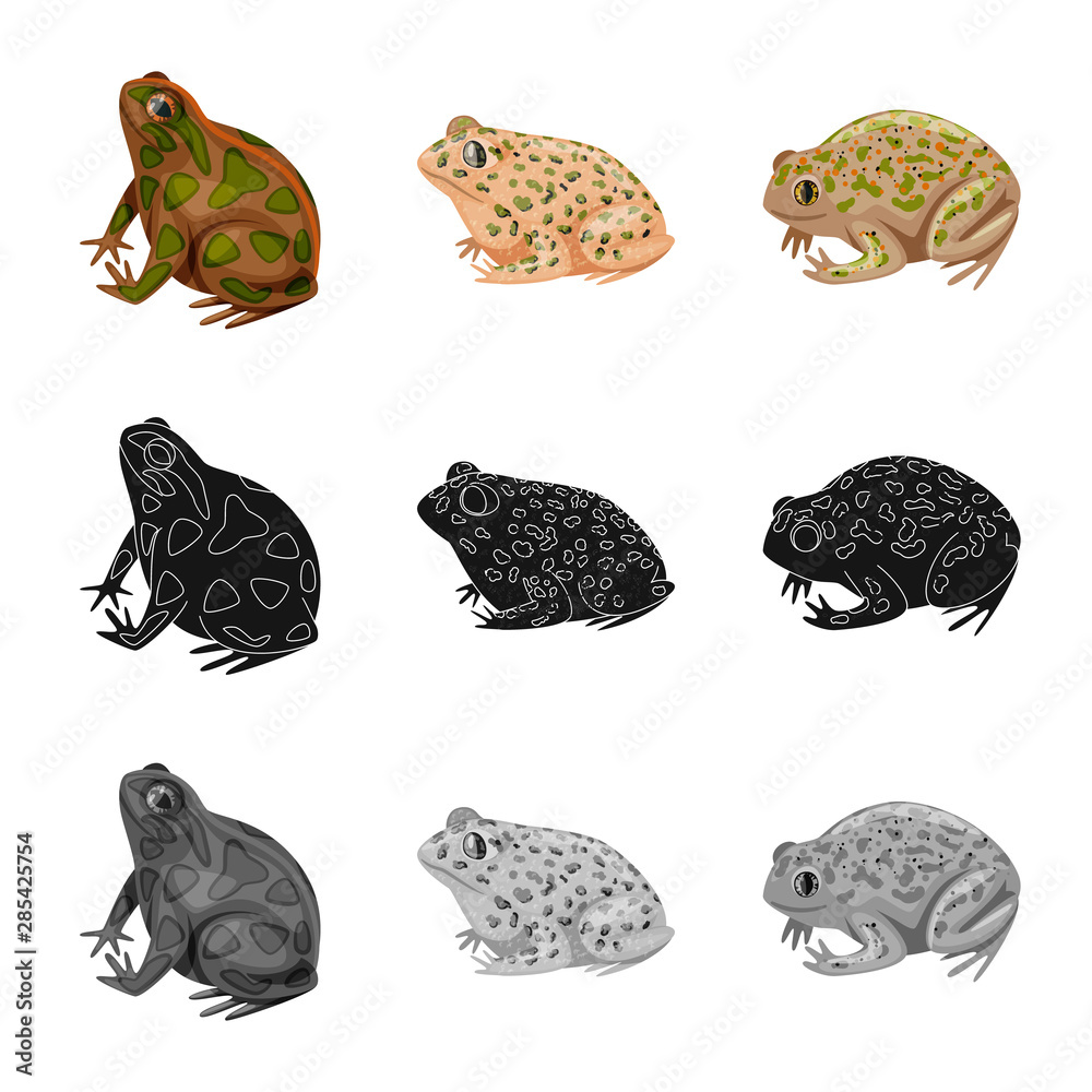 Isolated object of wildlife and bog sign. Set of wildlife and reptile stock vector illustration.