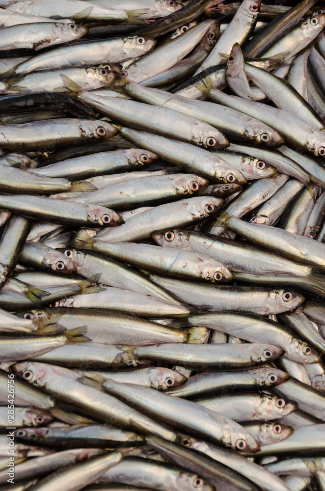 Fresh raw sprats background. Fish or seafood background Fresh raw sprats background. Fish or seafood background