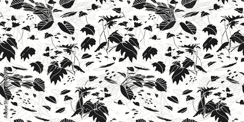Modern exotic jungle leaf pattern. Scattered botanical leaf, shape and line art, in black and white. Perfect for packaging design, home decor, fabric, wallpaper and stationary.