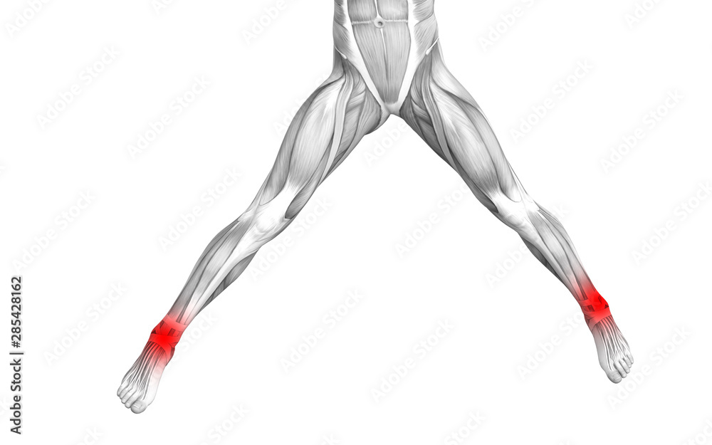 Conceptual ankle human anatomy with red hot spot inflammation or articular joint pain for leg health care therapy or sport muscle concepts. 3D illustration man arthritis or bone osteoporosis disease Conceptual ankle human anatomy with red hot spot inflammation or articular joint pain for leg health care therapy or sport muscle concepts. 3D illustration man arthritis or bone osteoporosis disease