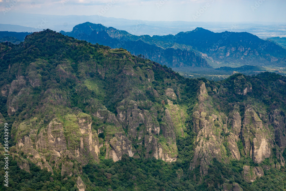 Montagnes vertes avec beaucoup d'arbres