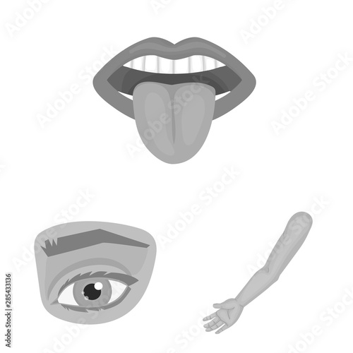 Vector illustration of body and part icon. Set of body and anatomy vector icon for stock.