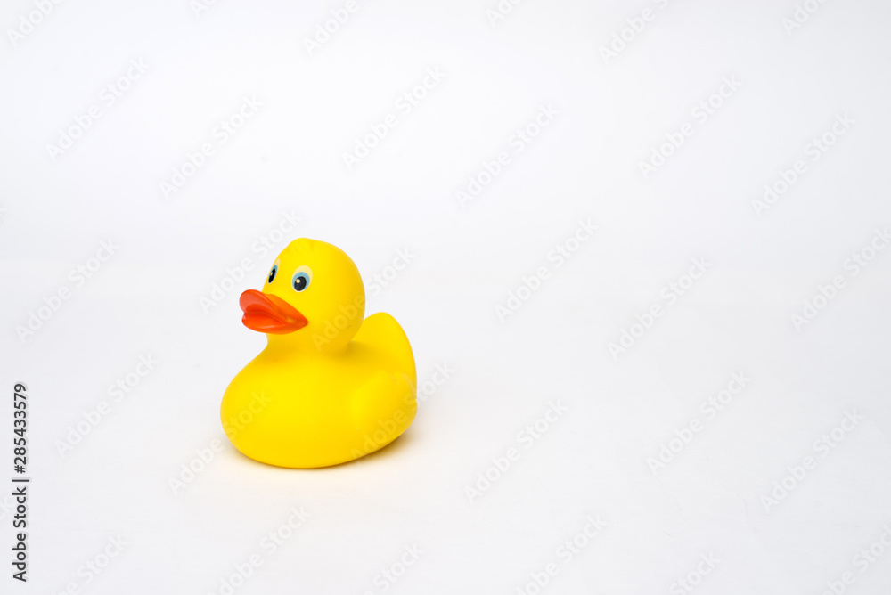 Yellow rubber duck isolated on white background