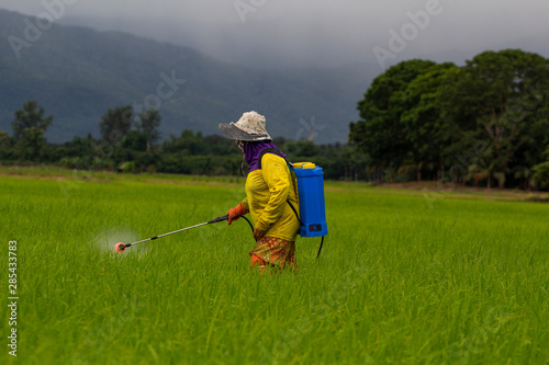 Farmers spraying herbicides in the fields