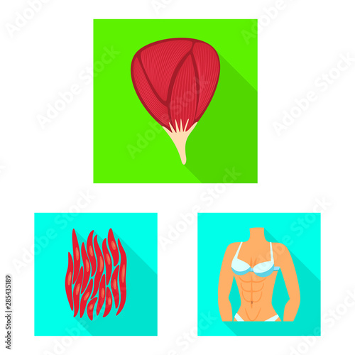 Isolated object of muscle and cells symbol. Collection of muscle and anatomy stock symbol for web.