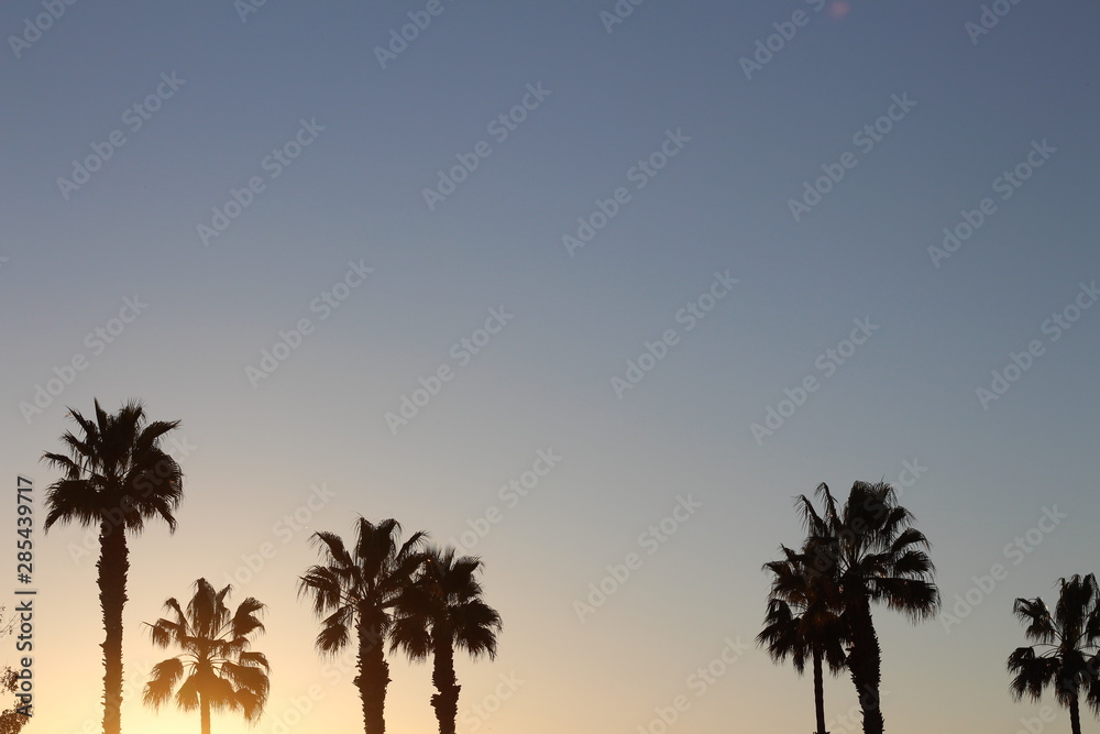 California Light Background