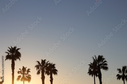 California Light Background © MIKO