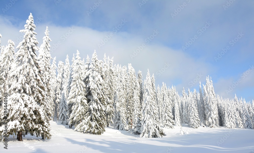 winter landscape on the mountain winter landscape on the mountain