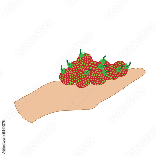 Vector illustration of a hand with strawberries on white background. Symbol of fruit, vegetarian, food, crop, fresh, vegan.