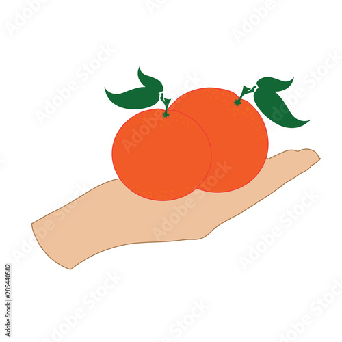 Vector illustration of a hand with orange on white background. Symbol of fruit, vegetarian, food, crop, fresh, vegan.