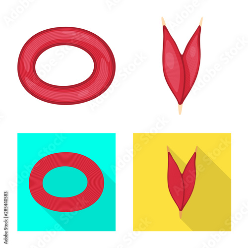 Vector illustration of fiber and muscular icon. Set of fiber and body stock vector illustration.