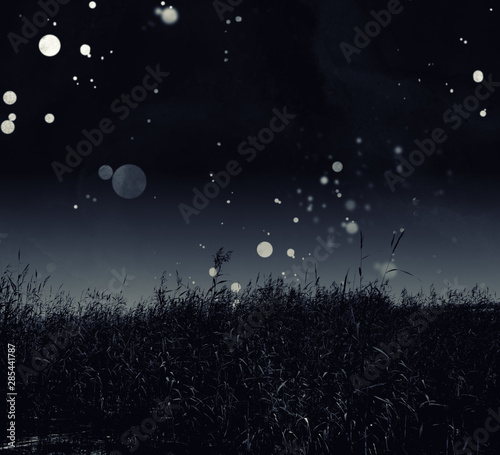 River grass and night sky with stars. photo with watercolour texture. mixed media artwork.