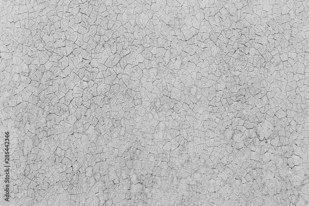 Grey rustic texture background. Black and white.