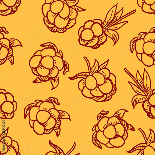 Vector Seamless Pattern of Cloudberries