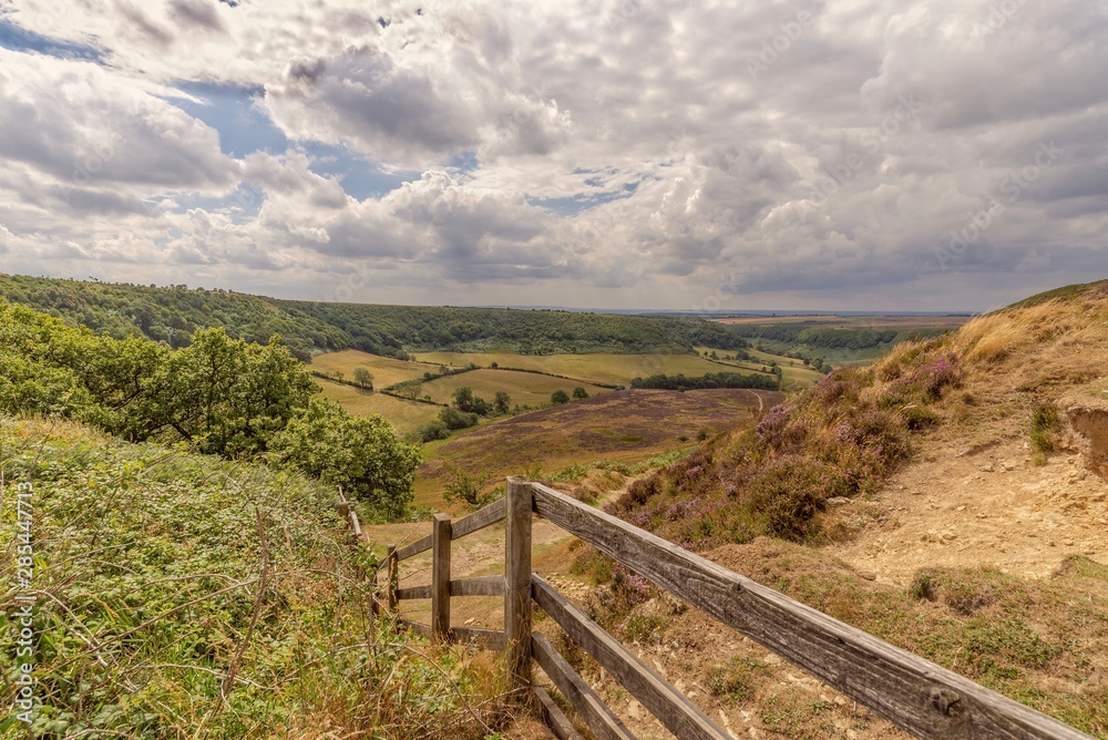 A deep valley in the North York Moors.
