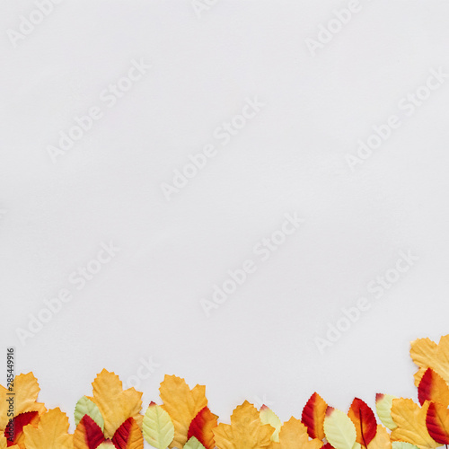 Autumn leaves on white surface