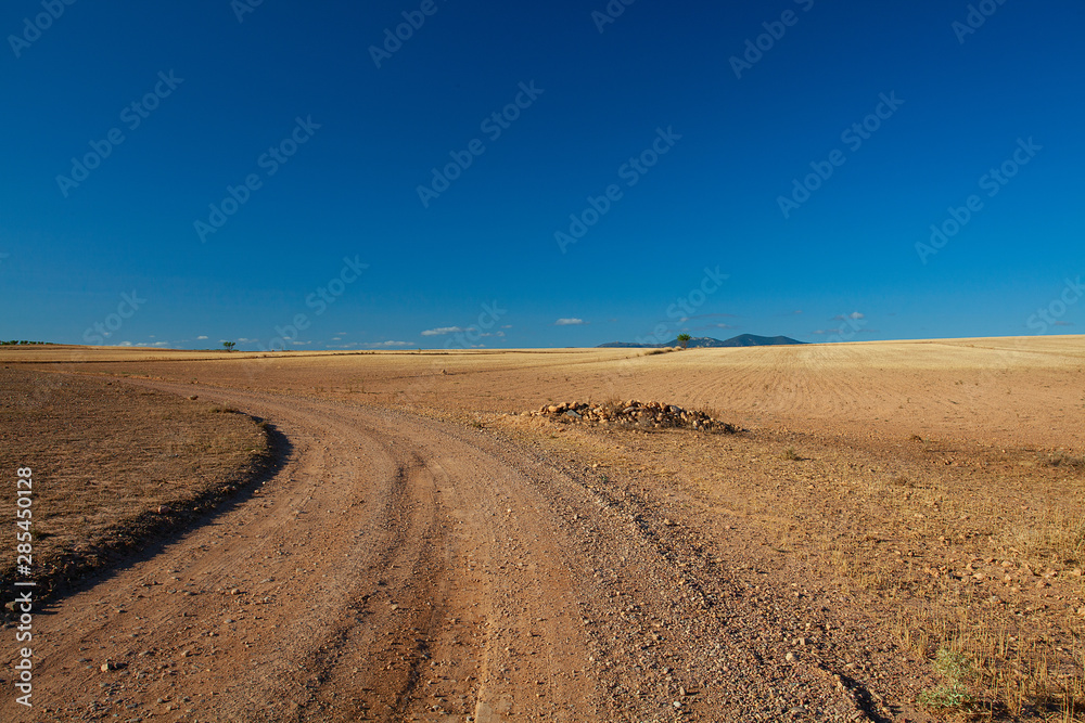agricultural field with yellowing grass agricultural field with yellowing grass