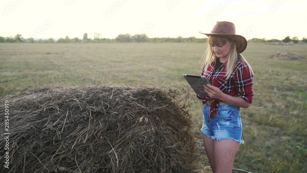 smart farming slow motion video concept. girl agronomist holds tablet touch pad computer in hay field lifestyle stack is studying and examining crops before harvesting. woman Agribusiness concept smart farming slow motion video concept. girl agronomist holds tablet touch pad computer in hay field lifestyle stack is studying and examining crops before harvesting. woman Agribusiness concept