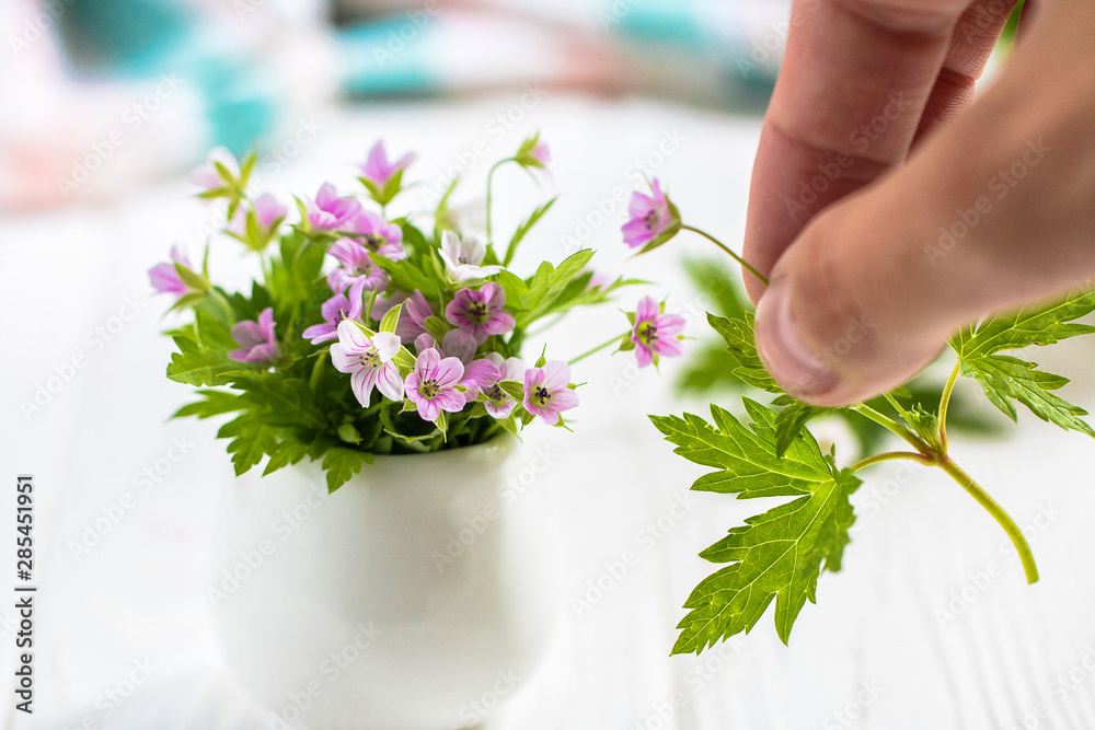 Miniature Purple flowers in a white vase on a white table  - obrazy, fototapety, plakaty 