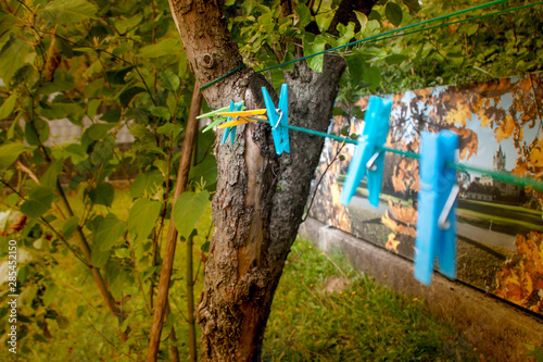 Detailaufnahmen aus unserem Garten