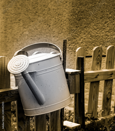 Detailaufnahmen aus unserem Garten