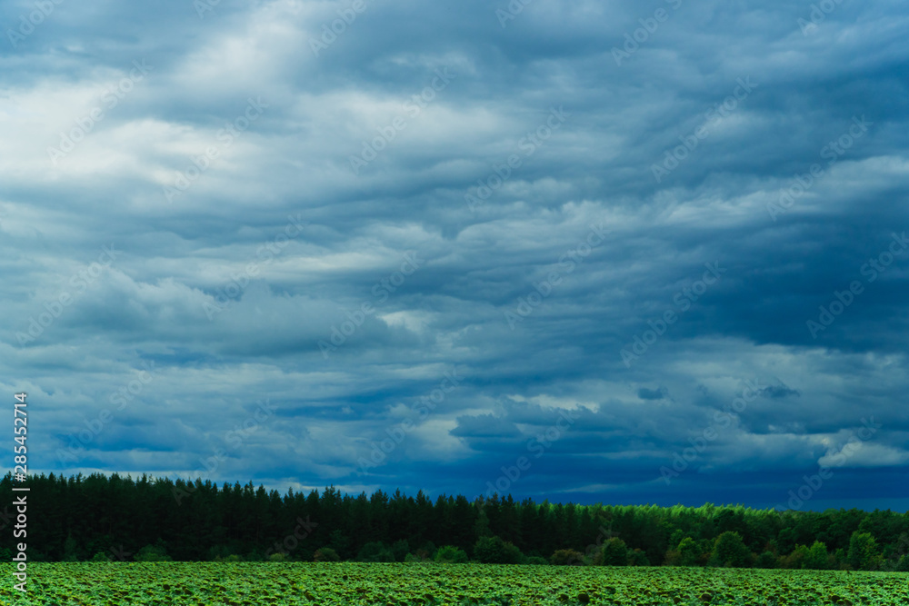 green field with skyline and dark stormy sky green field with skyline and dark stormy sky