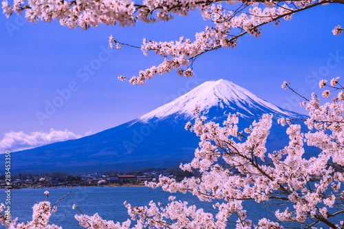 富士山と桜