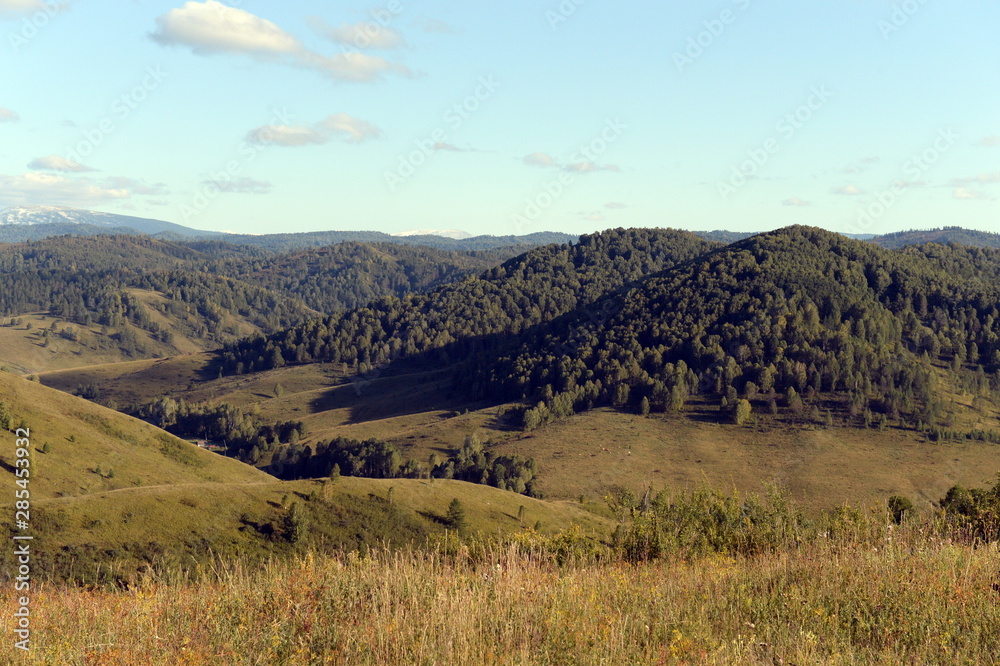   Russia.Western Siberia. The foothills of the Altai mountains