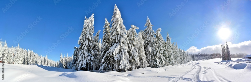 panoramic winter landscape in the mountains panoramic winter landscape in the mountains