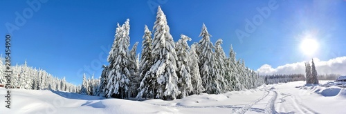 panoramic winter landscape in the mountains