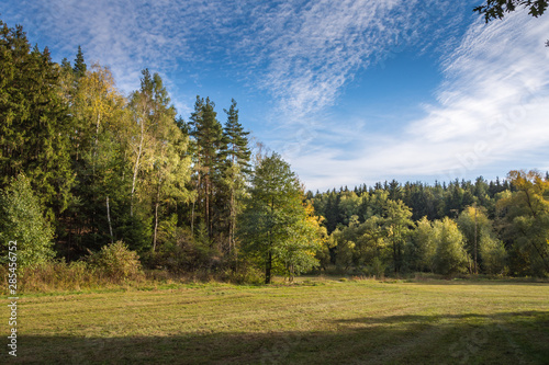Fototapeta Naklejka Na Ścianę i Meble -  Scenic summer landscape with green fields