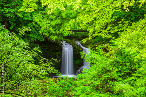 新緑の滝　鐘山の滝 photo