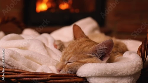 Cute ginger kitten sleeping at the fireplace in a basket - camera slide