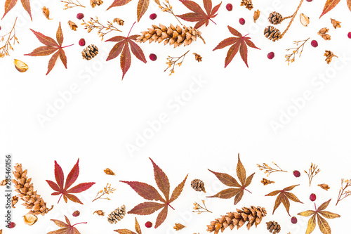 Autumn frame with fall leaves, dried wild flowers and pine cones on white background. Flat lay, top view. Thanksgiving composition