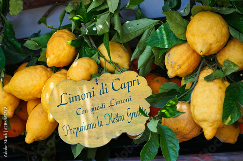 Zitronen aus Capri