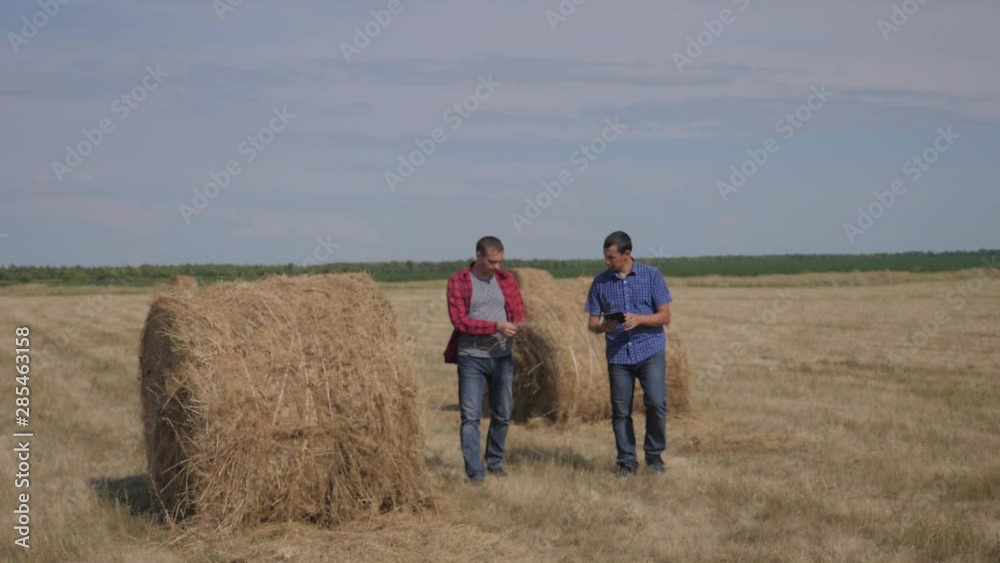 teamwork lifestyle agriculture smart farming concept. two men farmers workers walking studying haystack in field on digital tablet. teamwork slow motion video. people agronomist botanist farmers teamwork lifestyle agriculture smart farming concept. two men farmers workers walking studying haystack in field on digital tablet. teamwork slow motion video. people agronomist botanist farmers
