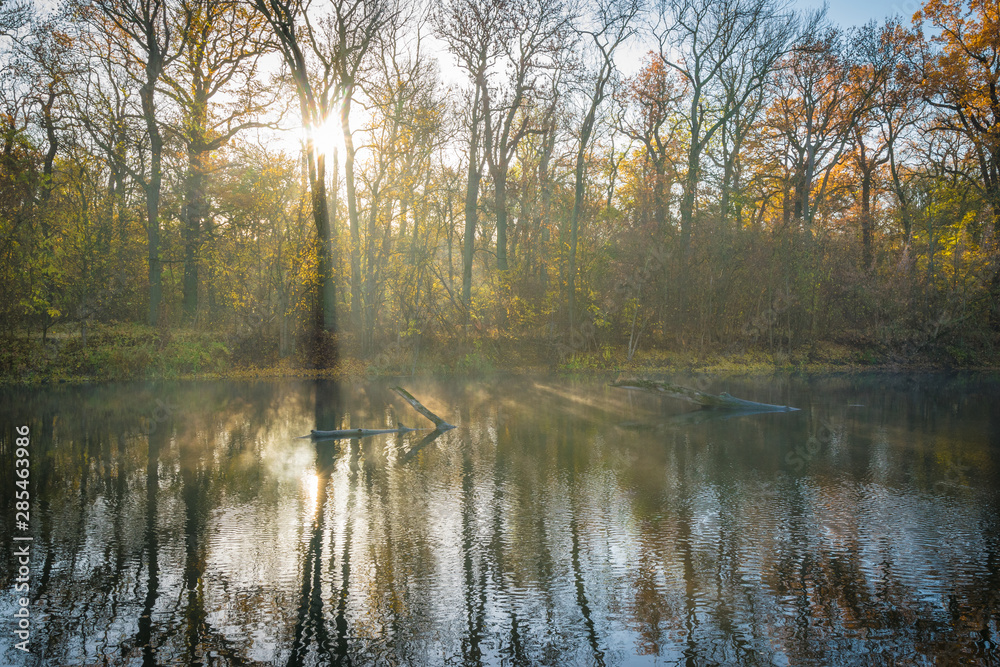 Obraz premium Fluss mit Nebel am Morgen Herbst