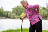 Asian senior woman with hip joint pain while walking ,female patient having backache,lumbago pain,hands touching on the hip,elderly people suffering from ribbing pain or waist pain,health problems