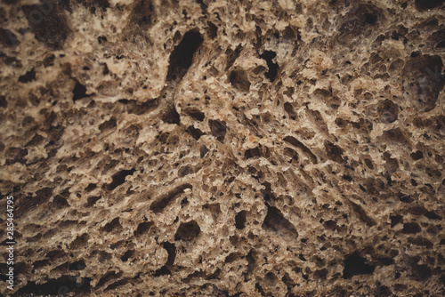 Pan de masa madre - Primer plano alveolos - Pan de masa fermentada