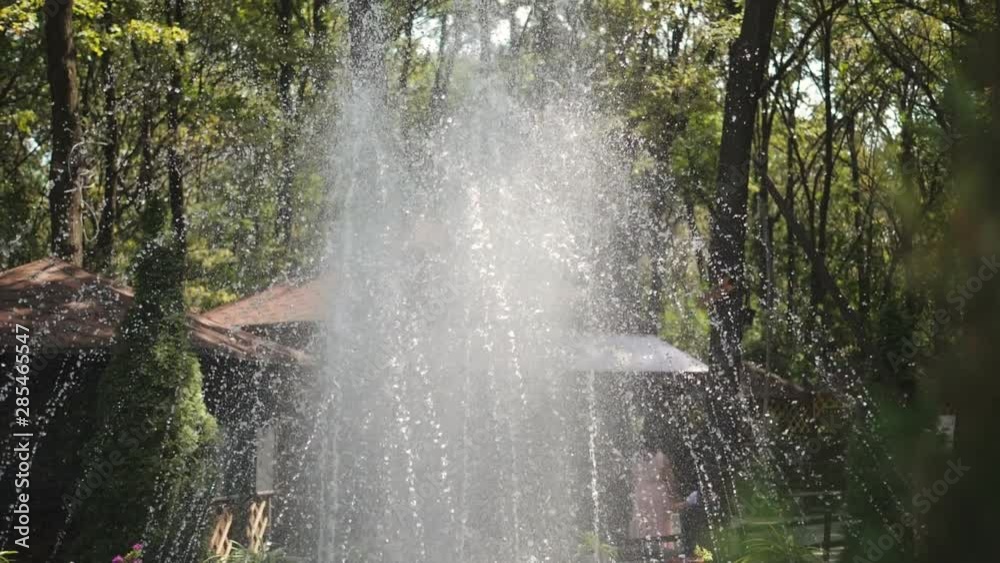 custom made wallpaper toronto digitalDrops Water from Fountain on Green Trees Background, slow motion