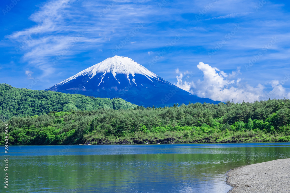 富士山と新緑の西湖