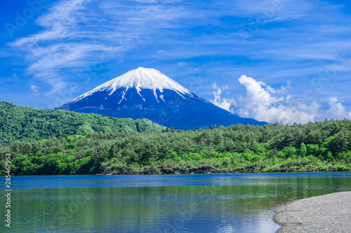 富士山と新緑の西湖