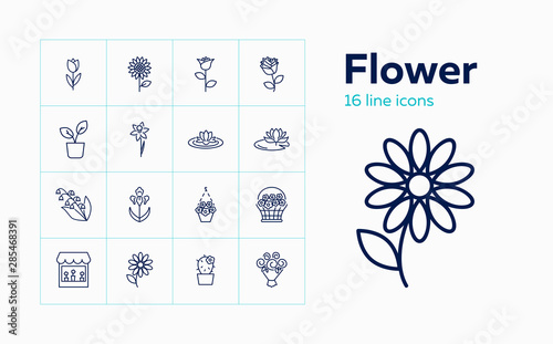 Flower icons. Set of line icons on white background. Flower shop, houseplant, flower basket. Floriculture concept. Vector can be used for topics like plants, botany, gardening