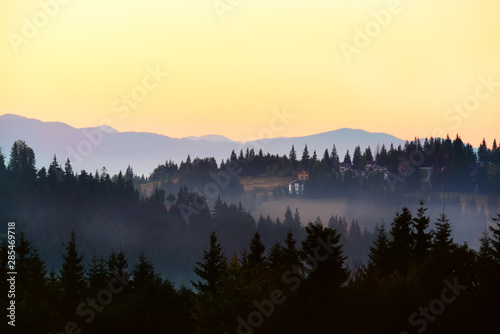 Mountains covered with huge spruce trees and houses on the slopes at sunset.